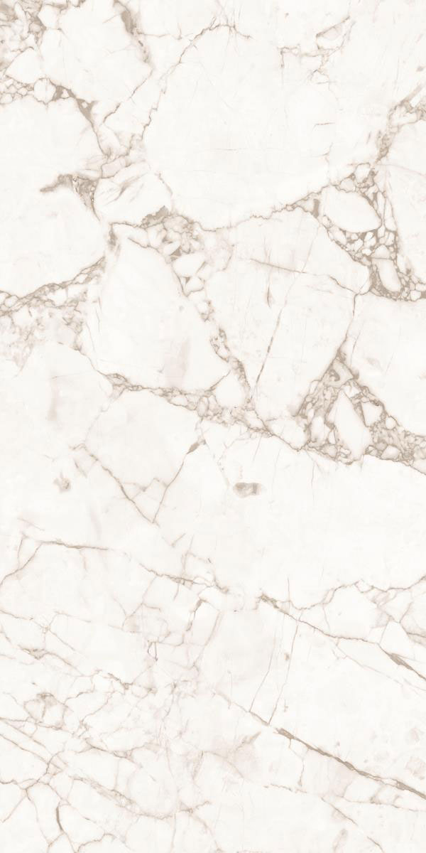 KATNI BIANCO P1